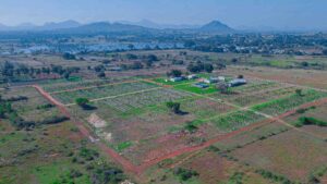 Utopiaa Managed Farmland: Your Gateway to Sustainable Agriculture