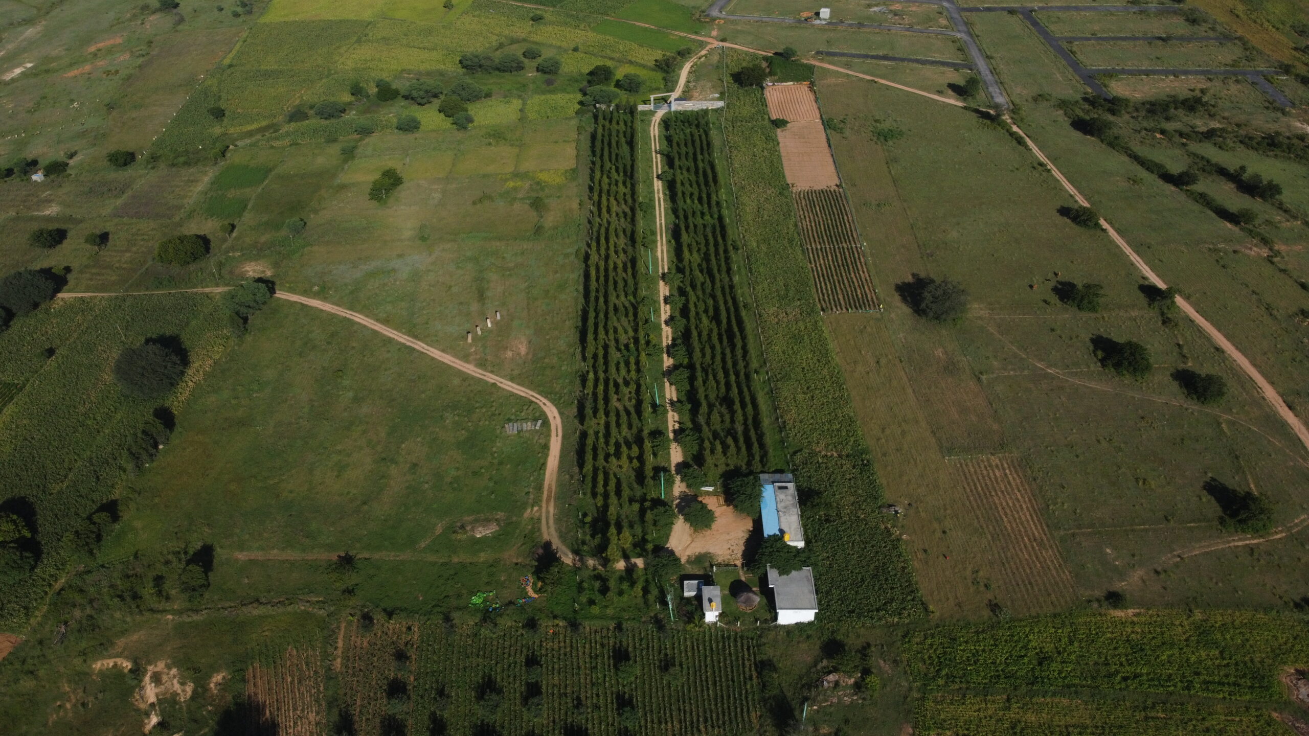 Utopiaa's managed farmland showcasing organized crop rows and eco-friendly facilities, representing sustainable and secure investment opportunities