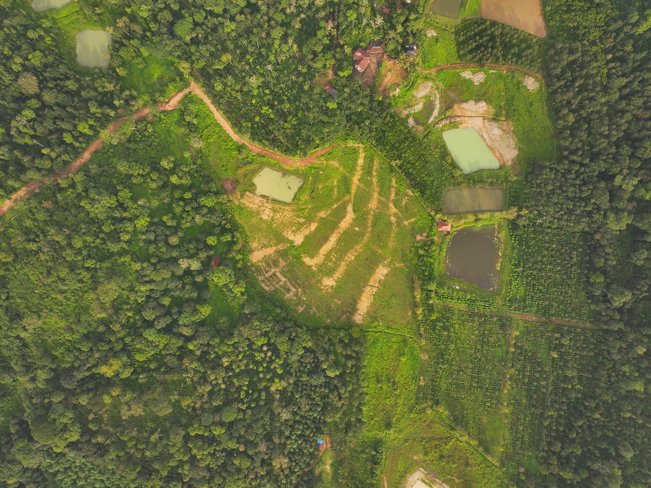 Agricultural fields with a farmhouse, representing the growing appeal of agricultural land investments