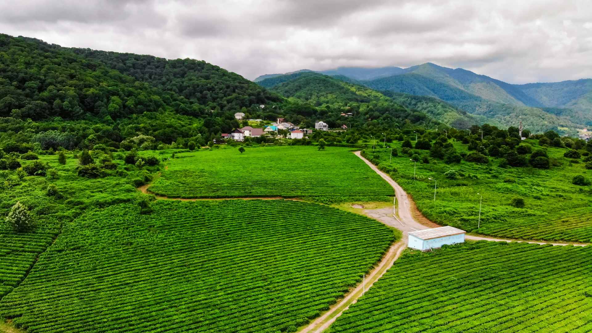 Visitors engaging in hands-on agricultural experiences on a managed eco-friendly farmland, showcasing the benefits of agrotourism