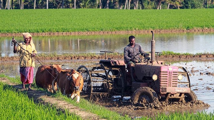 Time and labor-intensive tasks in traditional farming