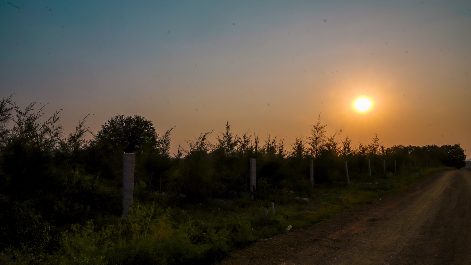 Eco-friendly managed farmland with solar panels, diverse crops, and sustainable practices for long-term investment gains