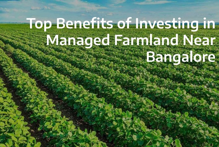 Top Benefits of Investing Managed Farmland Near Bangalore